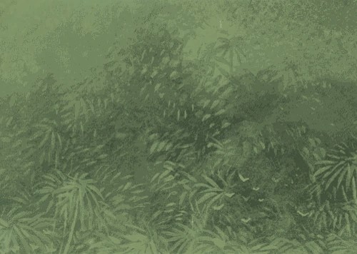 Missing card background image
