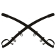 logo_ANS
