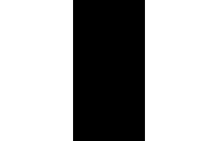Japan (Tokugawa)
