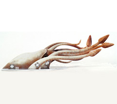 No matching image available.