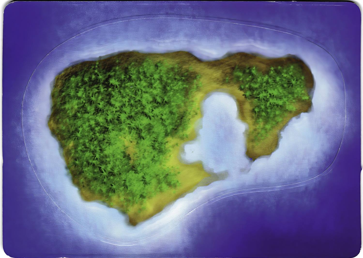 FS114i_island_heads