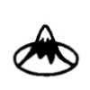 logo_RSS