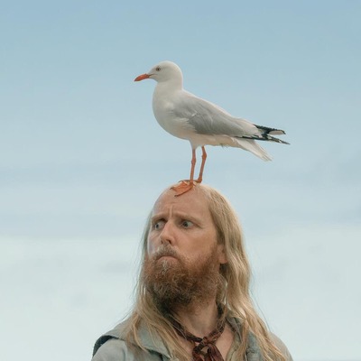 No matching image available.