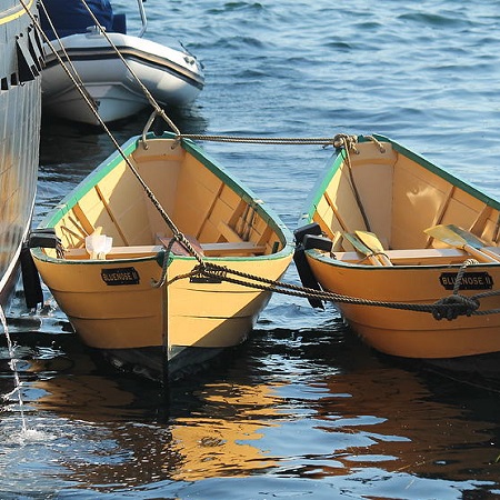 No matching image available.