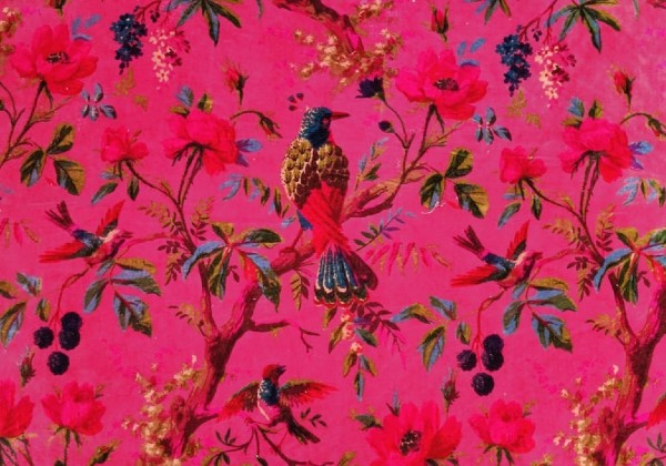 Missing card background image