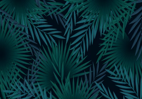 Missing card background image