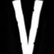 logo_V