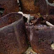 No matching image available.