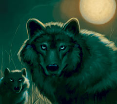 No matching image available.