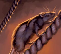 No matching image available.