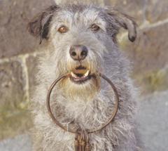 No matching image available.