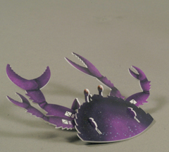 No matching image available.