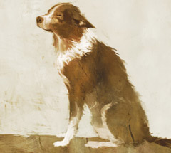 No matching image available.