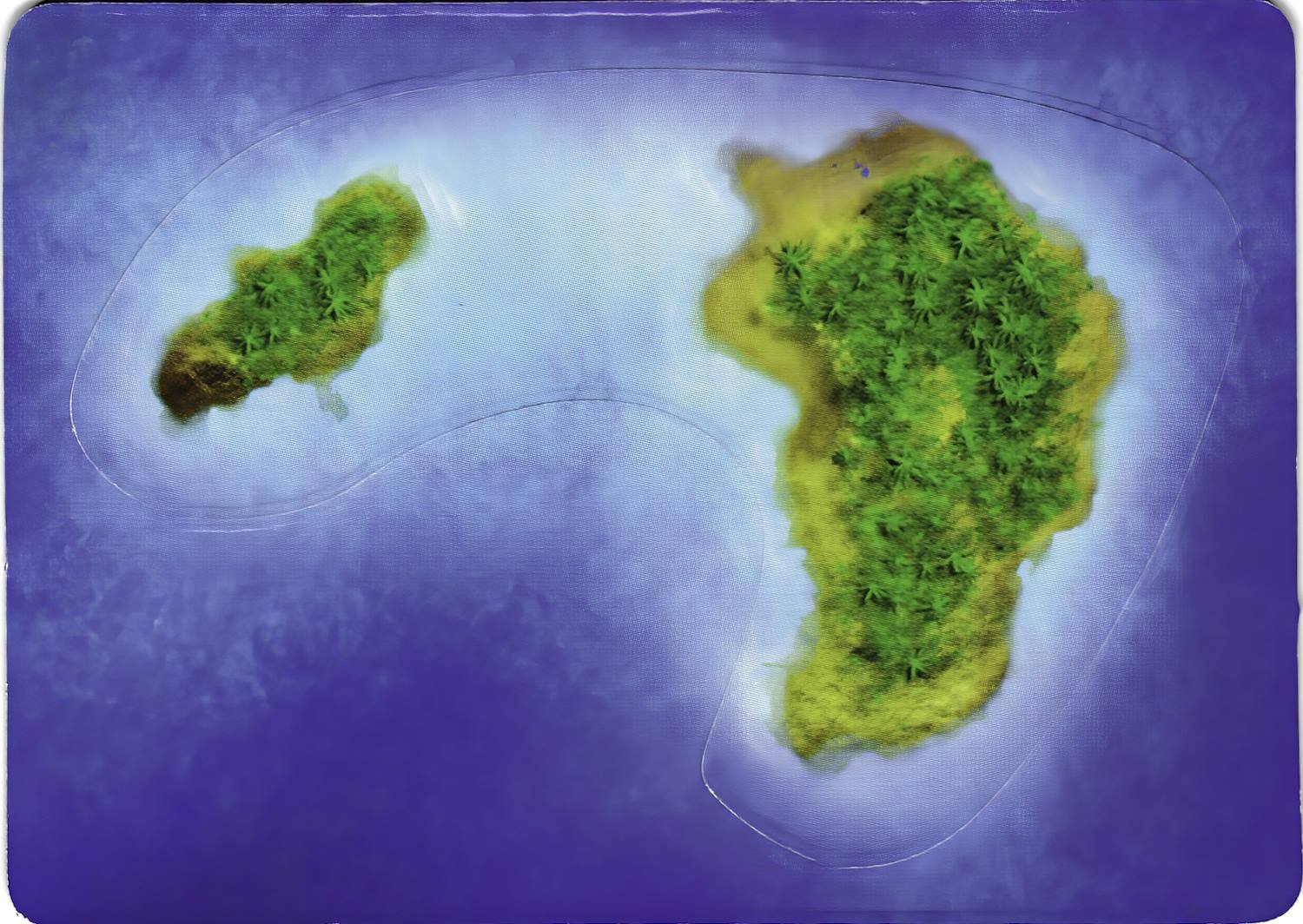 FS113i_island_heads