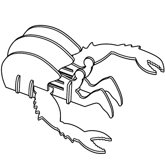crab_hermit_2