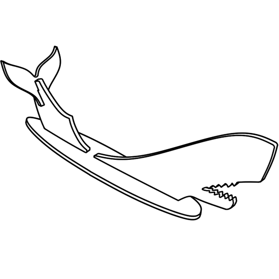 whale_3